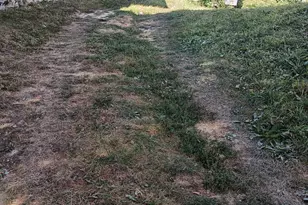 829 W Fisher Ave, Philadelphia, PA 19141 - Photo 1