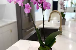 5215 Locust St, Philadelphia, PA 19139 - Photo 4