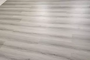 7039 Kindred St, Philadelphia, PA 19149 - Photo 10