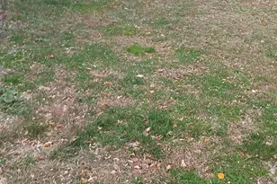 3814 N 10th St, Philadelphia, PA 19140 - Photo 4