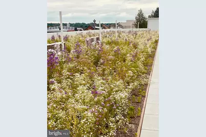 5542 Ridge Avenue #216, Philadelphia, PA 19128 - Photo 18