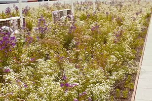 5542 Ridge Ave, Philadelphia, PA 19128 - Photo 18