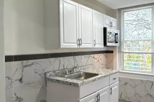 4634 N Palethorp St, Philadelphia, PA 19140 - Photo 16