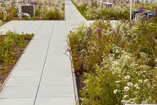 5542 Ridge Ave, Philadelphia, PA 19128 - Photo 14