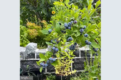 5134 Cedar, Philadelphia, PA 19143 - Photo 26