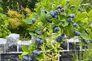 5134 Cedar, Philadelphia, PA 19143 - Photo 26