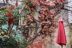 4 Rainey Ct, Philadelphia, PA 19103 - Photo 20