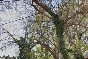 1510 W Hilton St, Philadelphia, PA 19140 - Photo 4