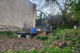 457 E Price St, Philadelphia, PA 19144 - Photo 2