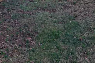 7419 Bingham St, Philadelphia, PA 19111 - Photo 4