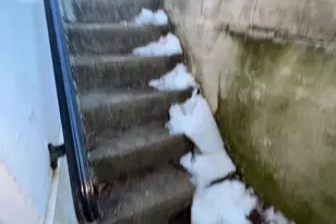 7238 Dungan Rd, Philadelphia, PA 19111 - Photo 12