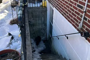 7238 Dungan Rd, Philadelphia, PA 19111 - Photo 4