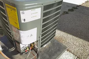 7219 Large St, Philadelphia, PA 19149 - Photo 12