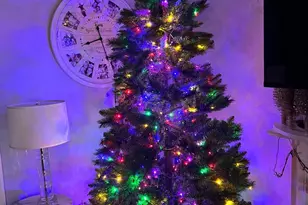 4448 Mitchell St, Philadelphia, PA 19128 - Photo 22