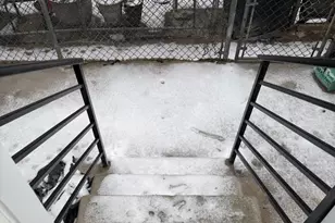 156 W Wishart St, Philadelphia, PA 19133 - Photo 8