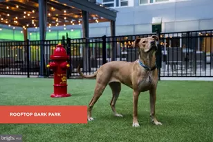 139-59 N 23rd St, Philadelphia, PA 19103 - Photo 4