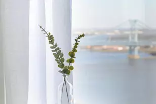 15 Dock St, Philadelphia, PA 19106 - Photo 16