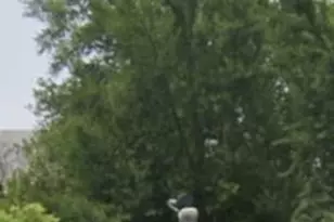 5412 Lena St, Philadelphia, PA 19144 - Photo 1