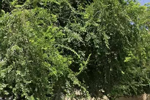 2214 N Lawrence St, Philadelphia, PA 19133 - Photo 1