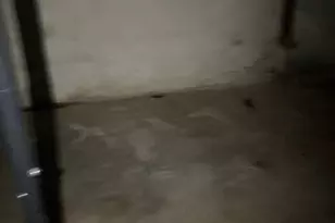 6419 N Fairhill St, Philadelphia, PA 19126 - Photo 30