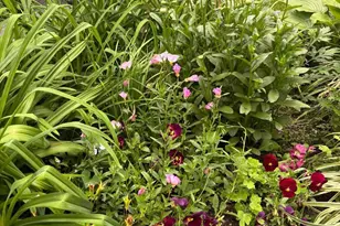 1627-29 W Stiles St, Philadelphia, PA 19121 - Photo 42