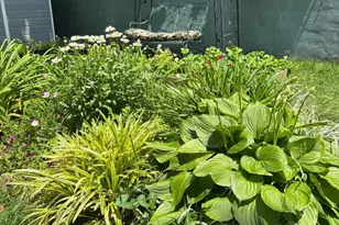 1627-29 W Stiles St, Philadelphia, PA 19121 - Photo 40