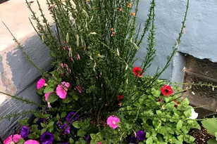 1627-29 W Stiles St, Philadelphia, PA 19121 - Photo 24