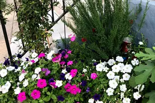 1627-29 W Stiles St, Philadelphia, PA 19121 - Photo 34