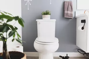 4537 Wayne Ave, Philadelphia, PA 19144 - Photo 14