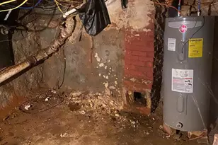 3458 N Bodine St, Philadelphia, PA 19140 - Photo 26