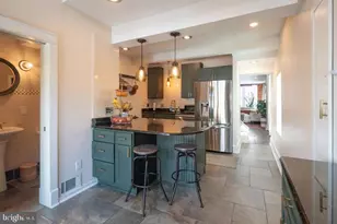 229 E Benezet St, Philadelphia, PA 19118 - Photo 8