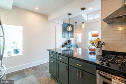 229 E Benezet Street, Philadelphia, PA 19118 - Photo 10