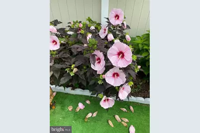 813 Piermont Street, Philadelphia, PA 19116 - Photo 34