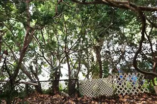 401 Kerper St, Philadelphia, PA 19111 - Photo 6