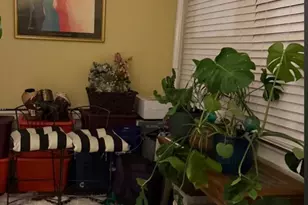 4903 N 9th St, Philadelphia, PA 19141 - Photo 40