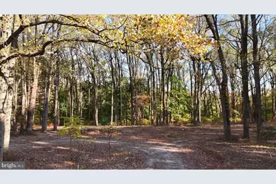 387 Port Royal Avenue, Philadelphia, PA 19128 - Photo 1