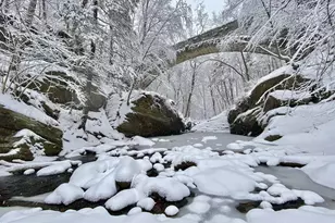 632 W Naomi St, Philadelphia, PA 19144 - Photo 54