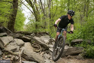 632 W Naomi Street, Philadelphia, PA 19144 - Photo 50