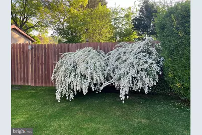 4607 Aubrey Avenue, Philadelphia, PA 19114 - Photo 74