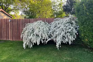 4607 Aubrey Ave, Philadelphia, PA 19114 - Photo 72