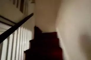 6733 Dorel St, Philadelphia, PA 19142 - Photo 8