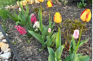 1626 Conlyn St, Philadelphia, PA 19141 - Photo 32