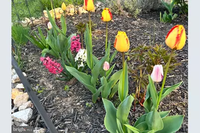 1626 Conlyn Street, Philadelphia, PA 19141 - Photo 34