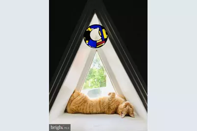 235 W Winona Street, Philadelphia, PA 19144 - Photo 4