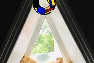 235 W Winona St, Philadelphia, PA 19144 - Photo 4