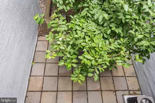 1932 Pine St, Philadelphia, PA 19103 - Photo 10