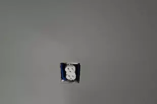 8030 Ditman St, Philadelphia, PA 19136 - Photo 18