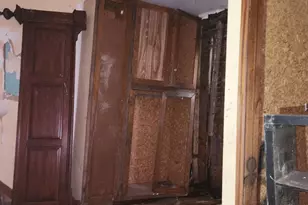 251 E Haines St, Philadelphia, PA 19144 - Photo 10