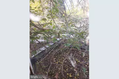 251 E Haines Street, Philadelphia, PA 19144 - Photo 20