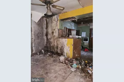 251 E Haines Street, Philadelphia, PA 19144 - Photo 4